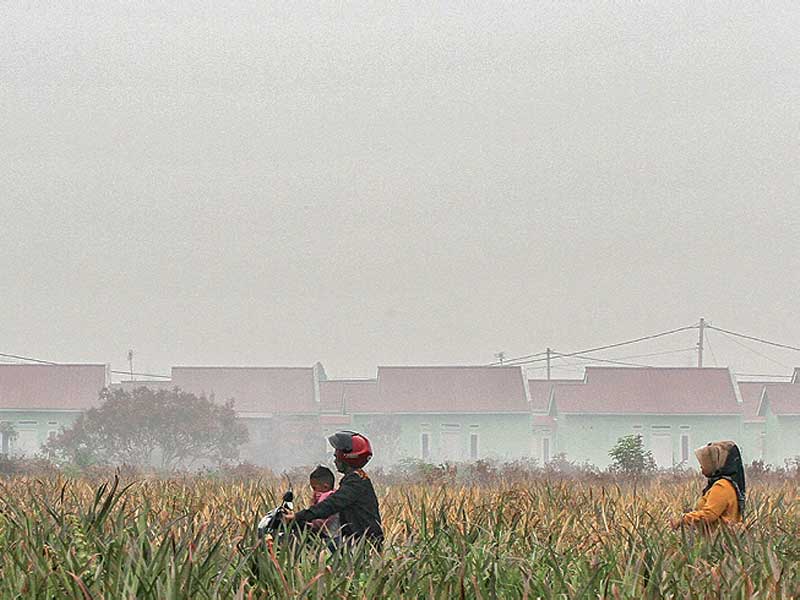 Warga melintas dengan latar belakang permukiman yang diselimuti kabut asap kebakaran hutan dan lahan (karhutla) gambut di Kabupaten Kampar