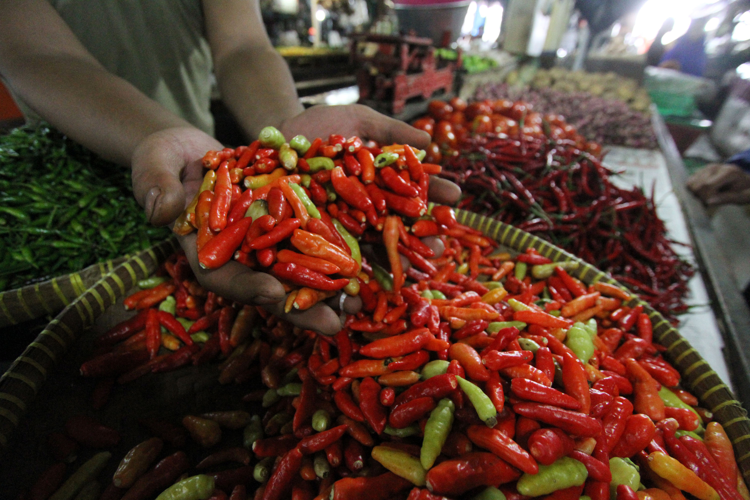 Mahalnya Harga Cabai  Jadi Biang Kerok Inflasi        