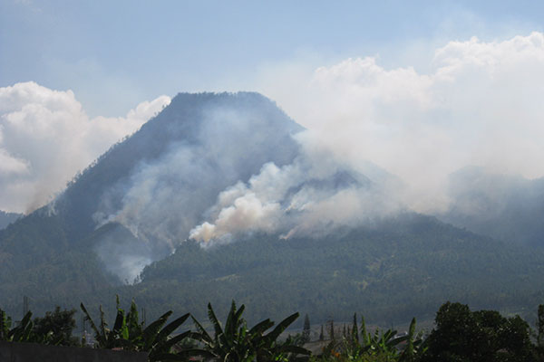 Hutan Gunung Panderman Terbakar 