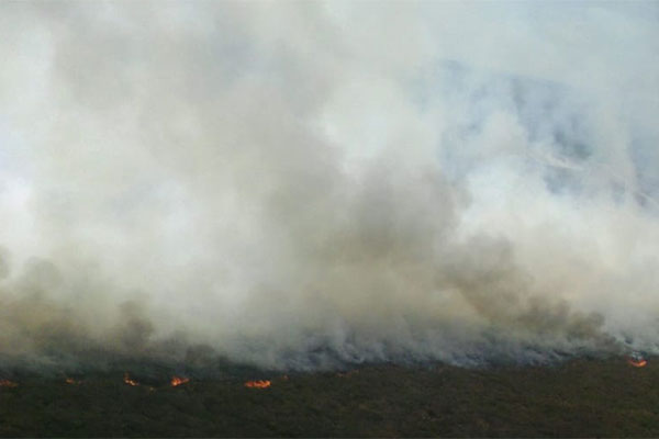 Kebakaran hutan di Ogan Ilir