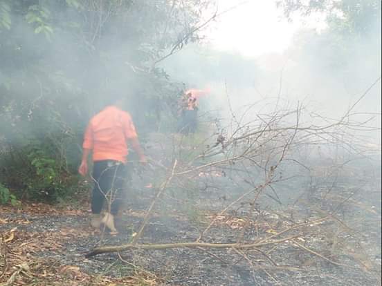 Petugas padamkan karhutla di Bangka Tengah