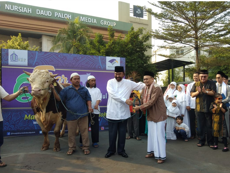 Chairman Media Group Surya Paloh menyerahkan hewan kurban 1 sapi seberat 1 ton kepada pengurus Masjid Nursiah Daud Paloh.