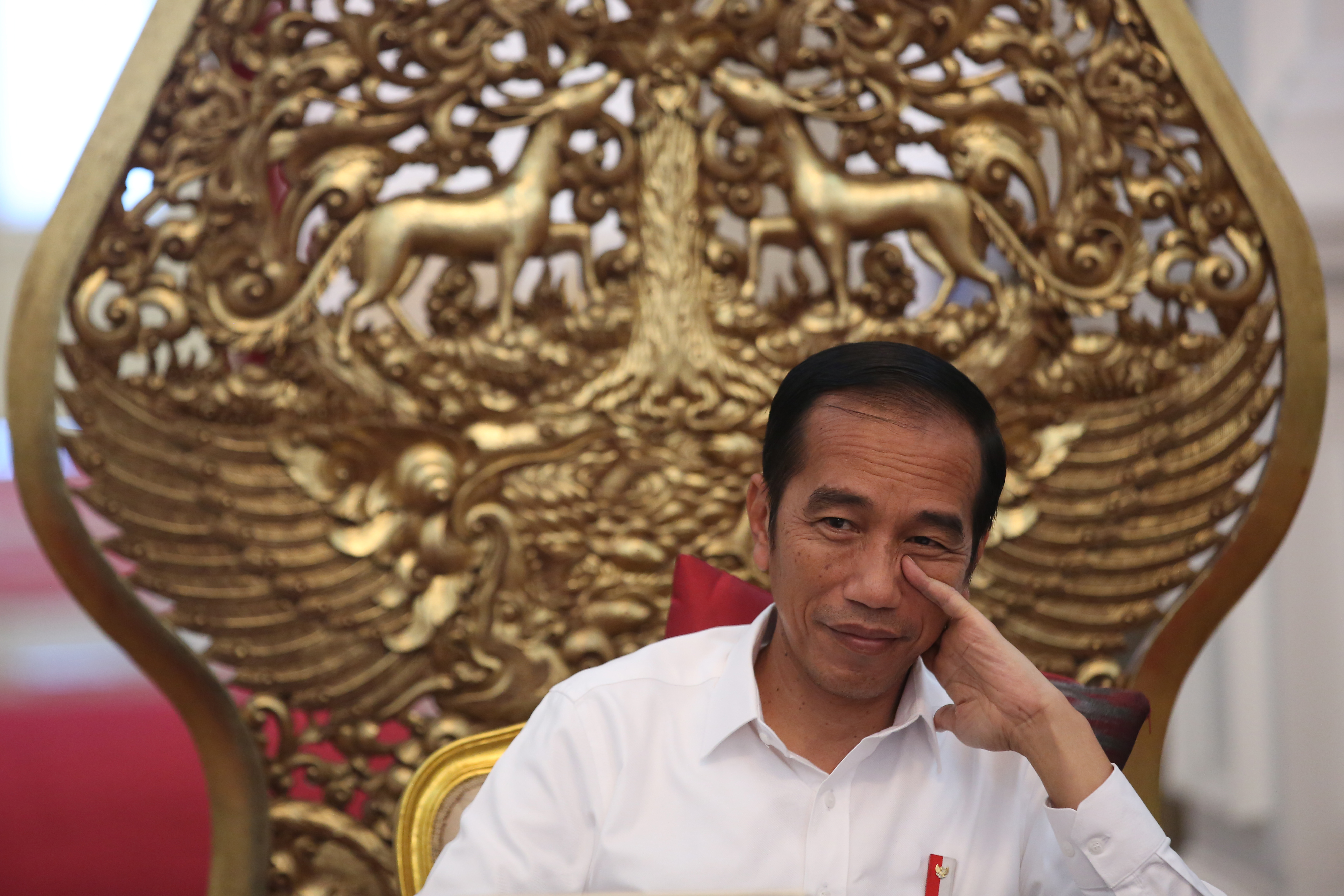 Presiden Joko Widodo