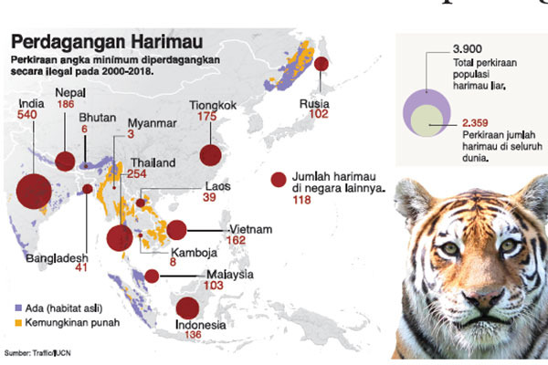 2.300 Harimau Terbunuh dan Diperdagangkan