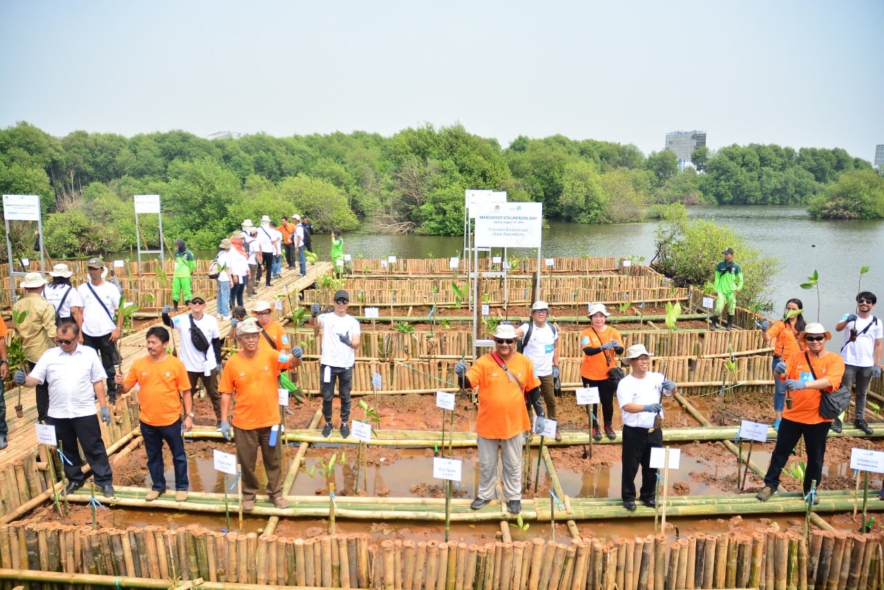 Gelar Mangrove Volunteers Day 2019 untuk Lindungi Teluk Jakarta