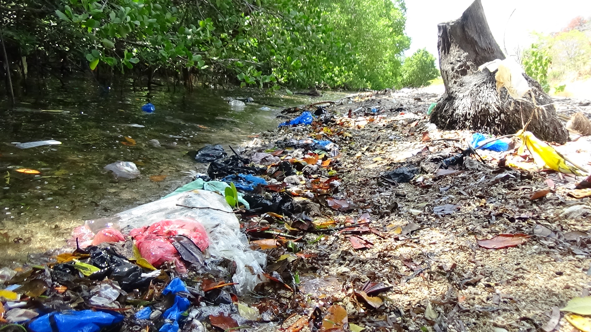 Tumpukan sampah di pantai di Larantuka.
