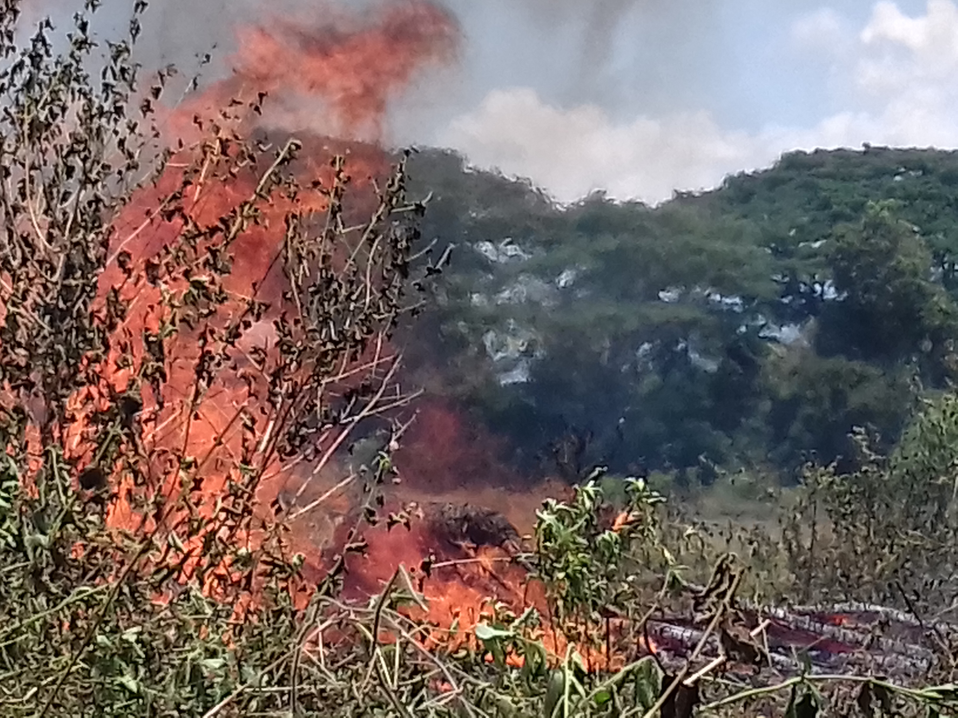 Lahan semak yang terbakar di Kabupaten Pidie, Aceh, beberapa waktu lalu. 