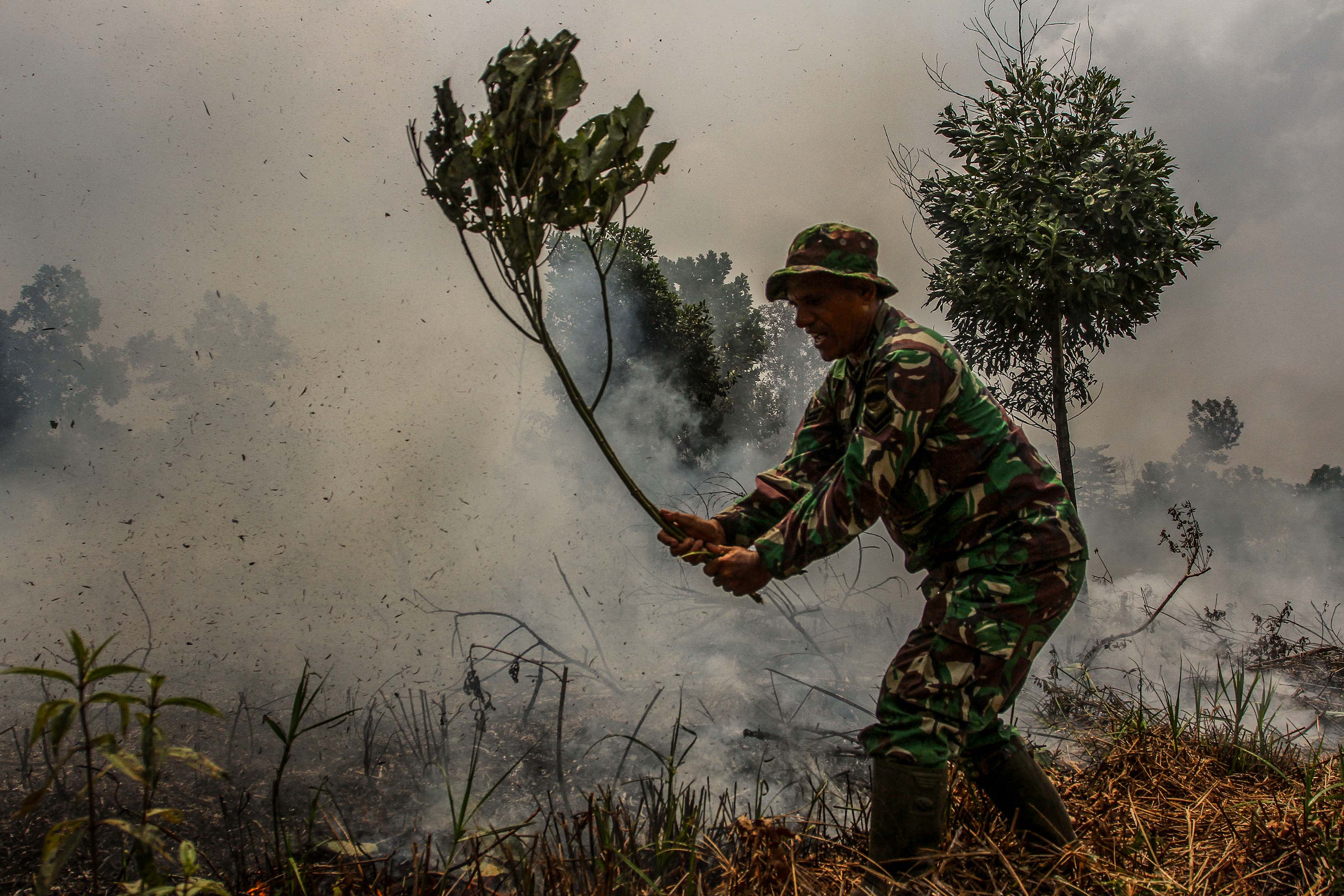 Personel TNI dari Kodim 0301 Pekanbaru berusaha memadamkan api yang membakar semak belukar di lahan gambut.