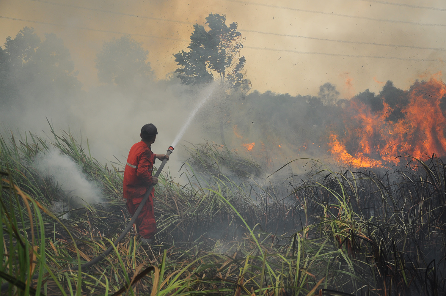 Tim Manggala Agni memadamkan kebakaran lahan gambut di Desa Pulau Semembu, Indralaya Utara, Ogan Ilir, Sumatra Selatan