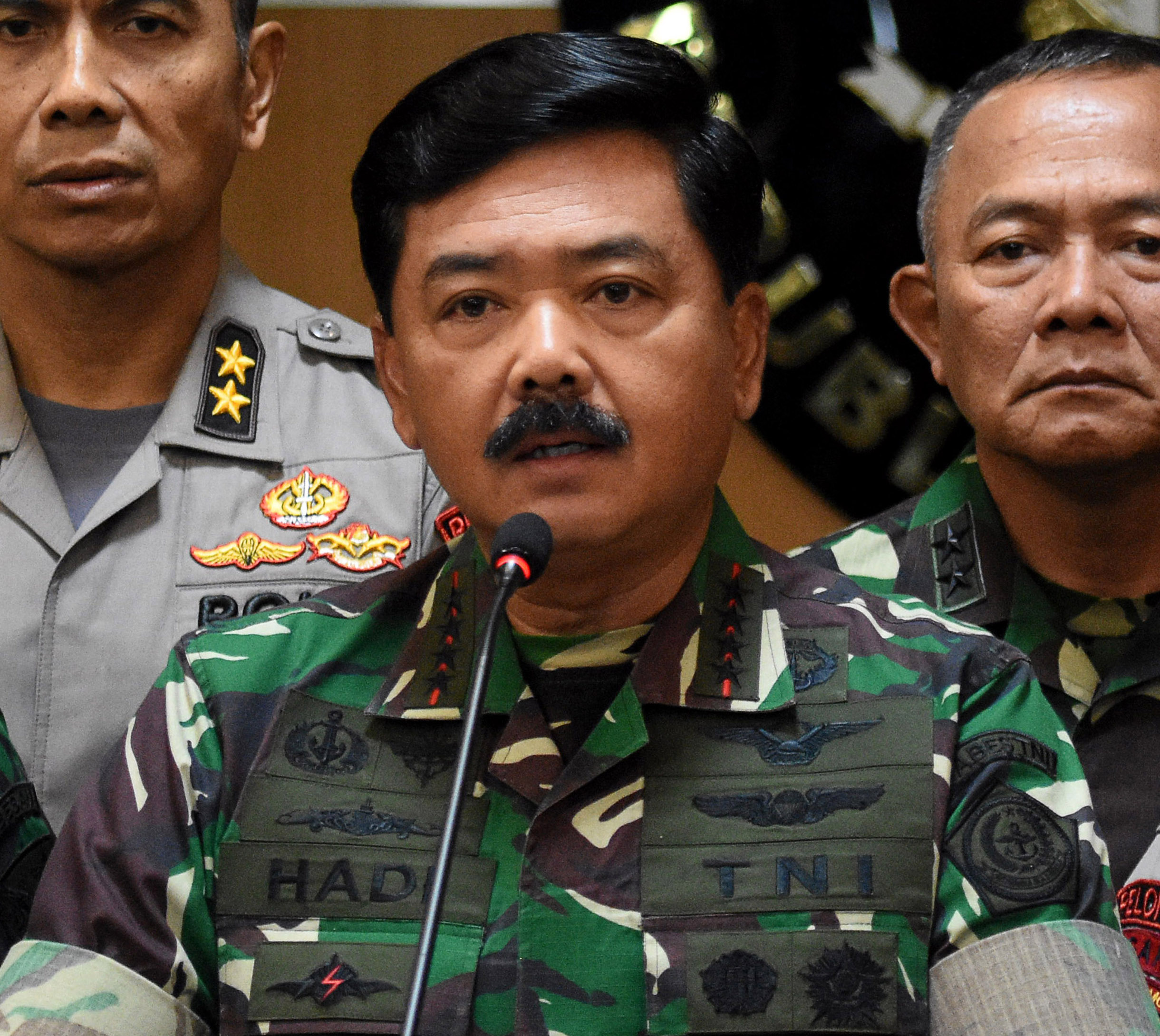 Panglima TNI Hadi Tjahjanto