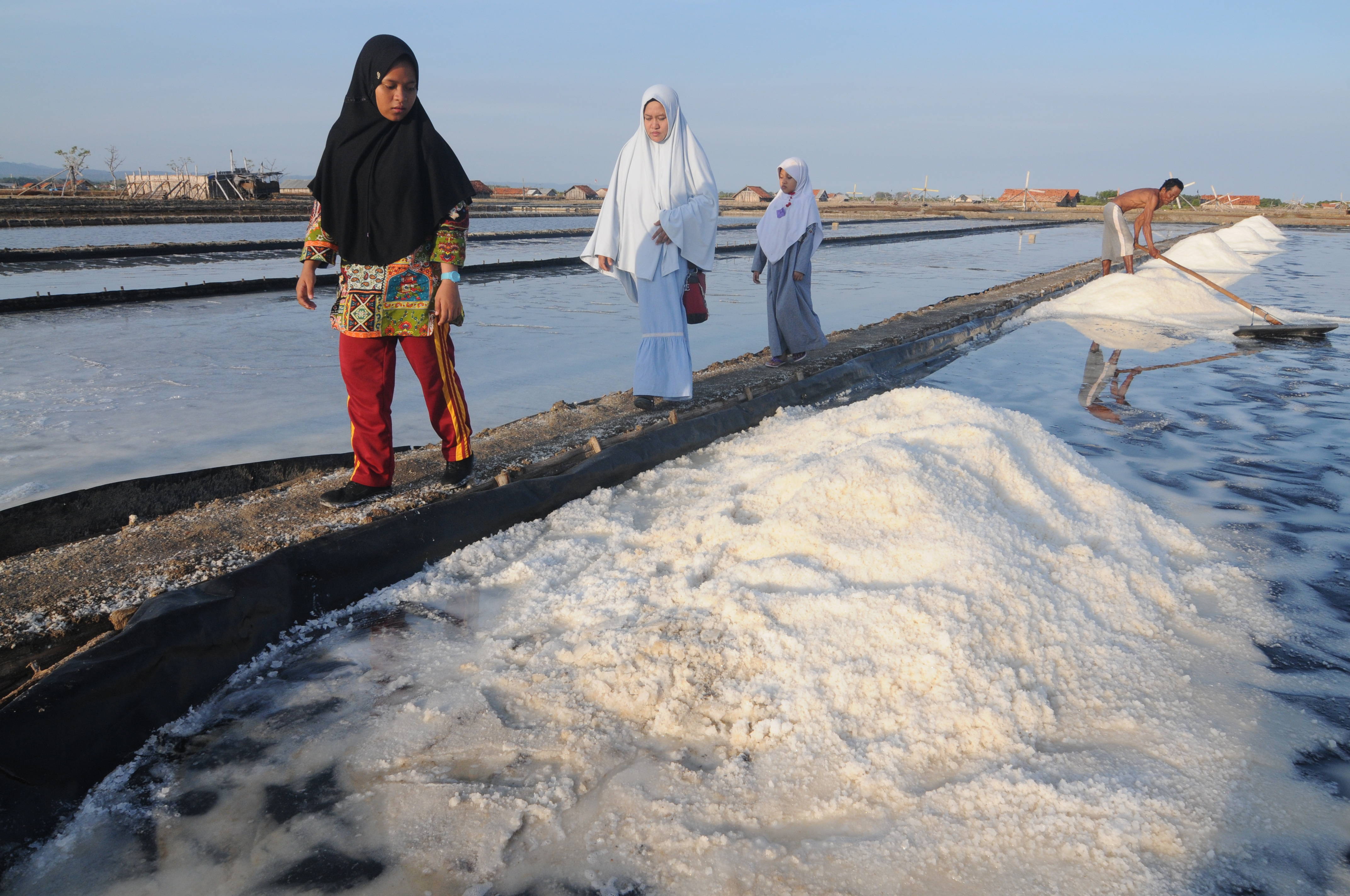 Wisata lahan garam di Madura
