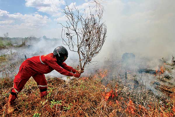 Petugas Brigdakarhutla Dinas Kehutanan memadamkan kebakaran lahan gambut di Ray 6 Desa Sungai Batang, Kabupaten Banjar, Kalimantan Selatan