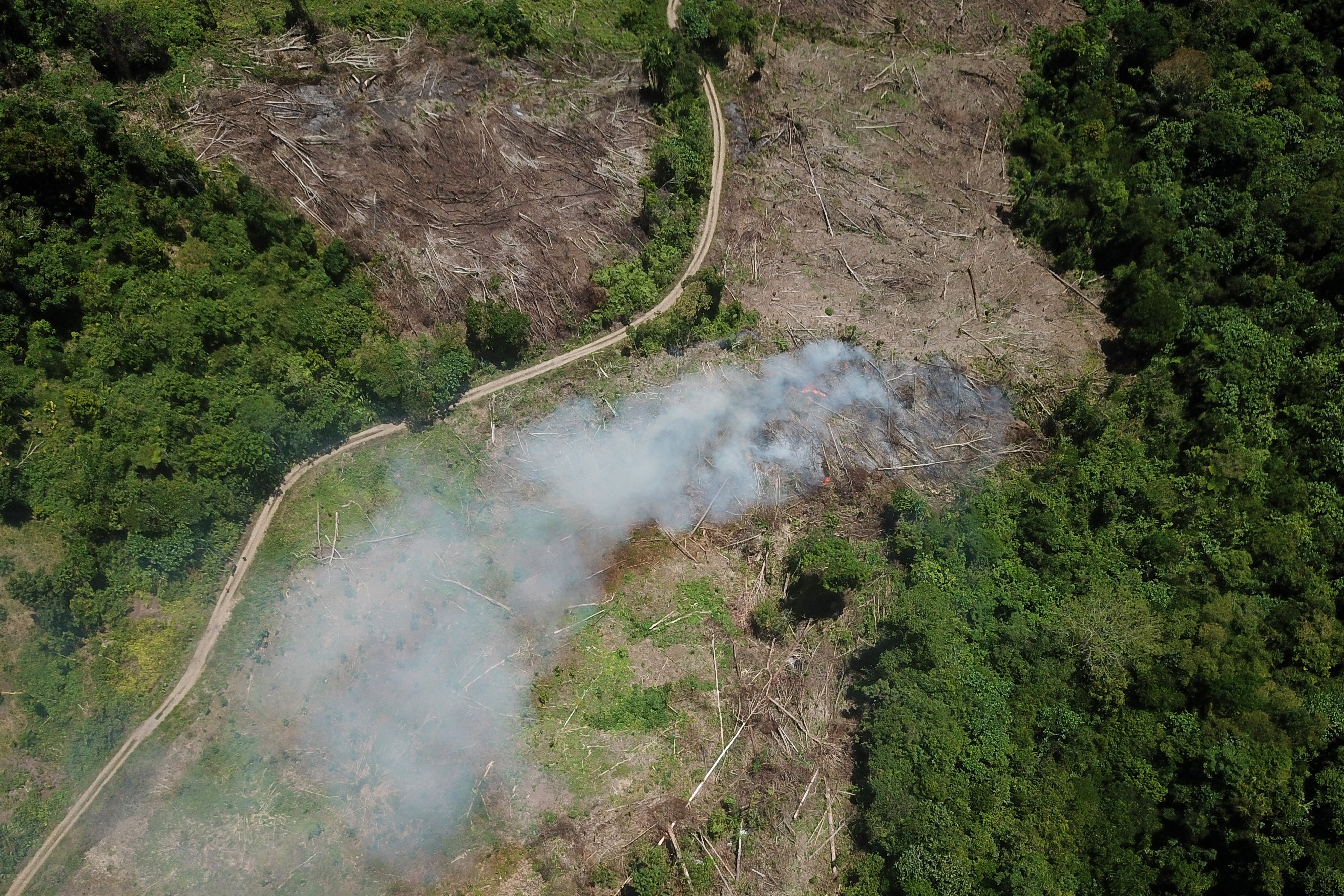 Asap mengepul dari lokasi pembukaan lahan di kawasan hutan lindung, Aceh Barat, Aceh. RUU Pertanahan dinilai bisa memicu deforestasi. 