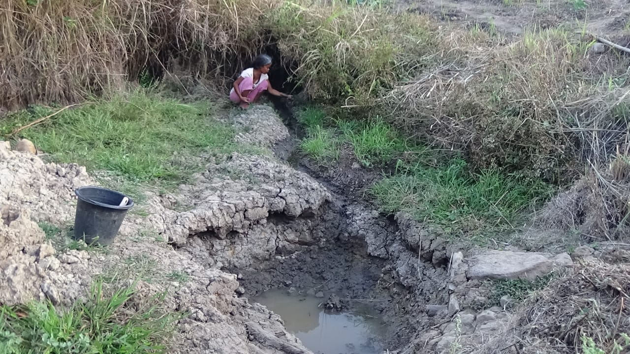 Kemarau panjang berpotensi terjadinya rawan pangan di Kabupaten Flores Timur, NTT 