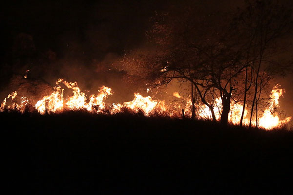 Kebakaran savana di Nagekeo di Kecamatan Aesesa, Kabupaten Nagekeo, Nusa Teggara Timur