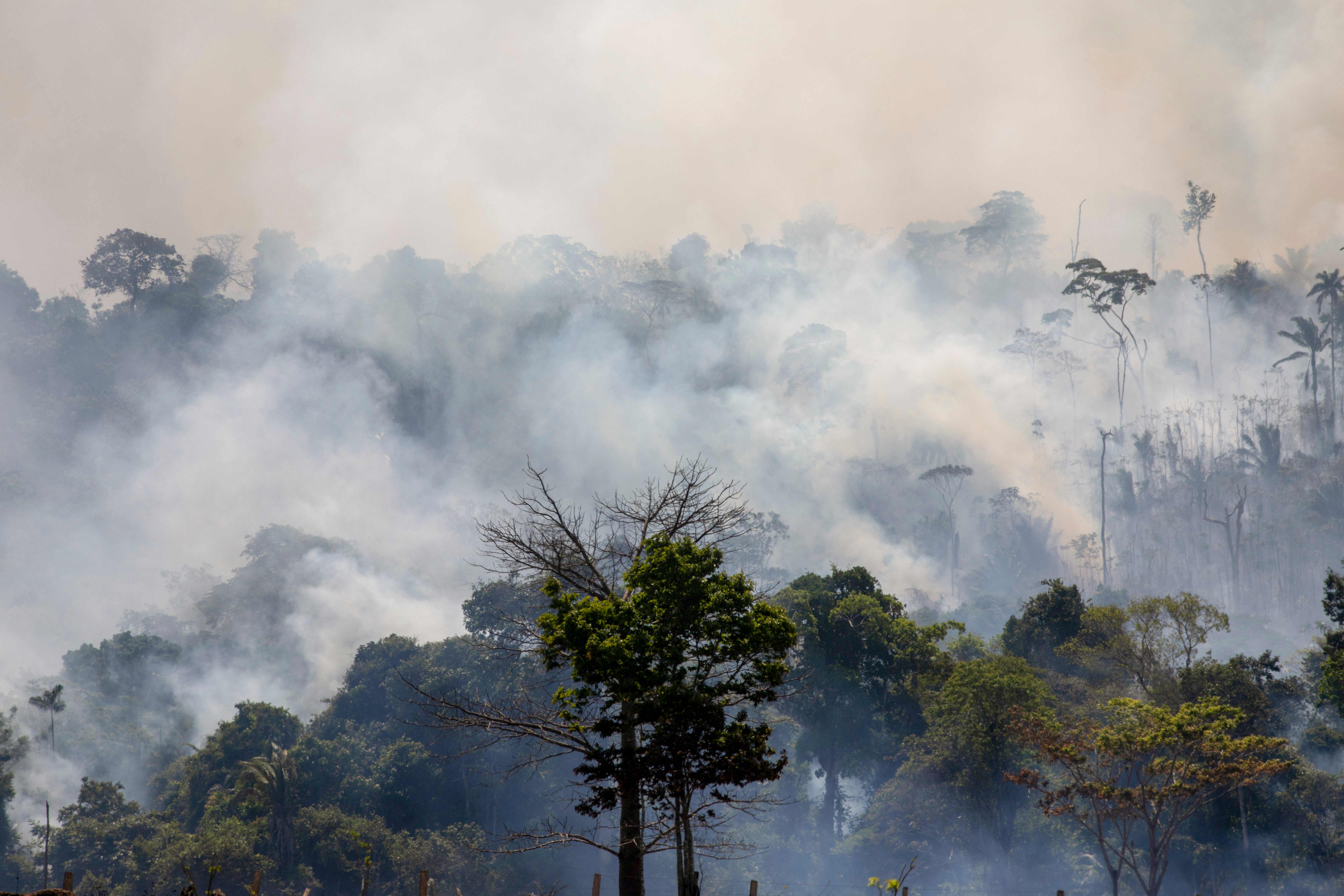 Asap membumbung dari hutan Amazon di Altamira, Brasil.