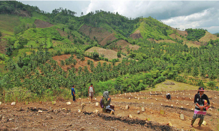 Perlindungan Hutan Jadi Tumpuan