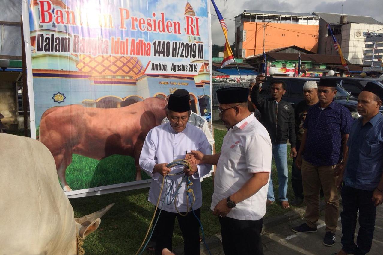 Gubernur Maluku  Murad Ismail (kanan) menyerahkan sapi dari Presiden Jokowi ke Masjid Raya Alfatah, Ambon.