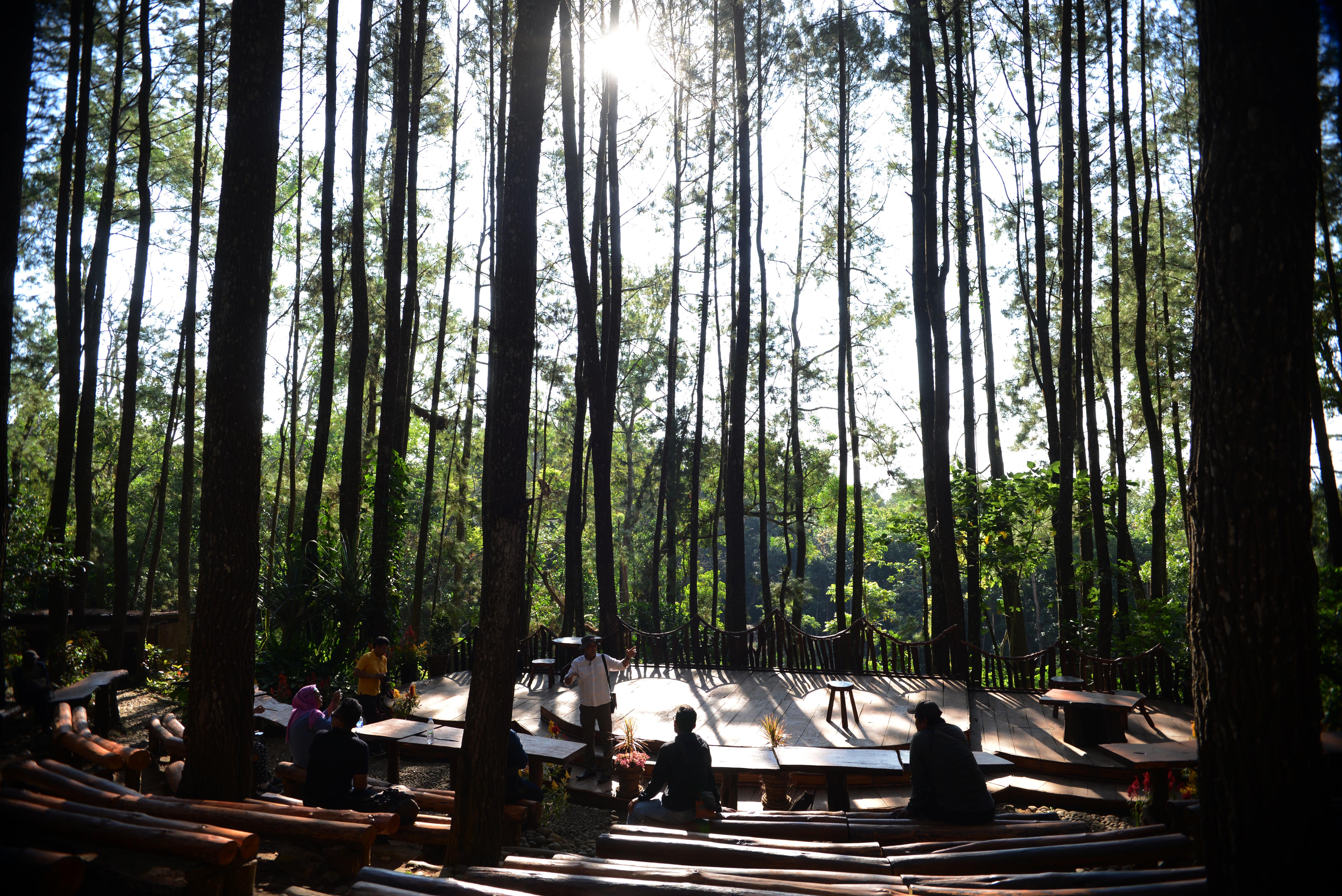 Lokasi panggung wisata hutan pinus yang menjadi salah satu lokasi yang dikunjungi paketan wisatawan jip semi-terbuka