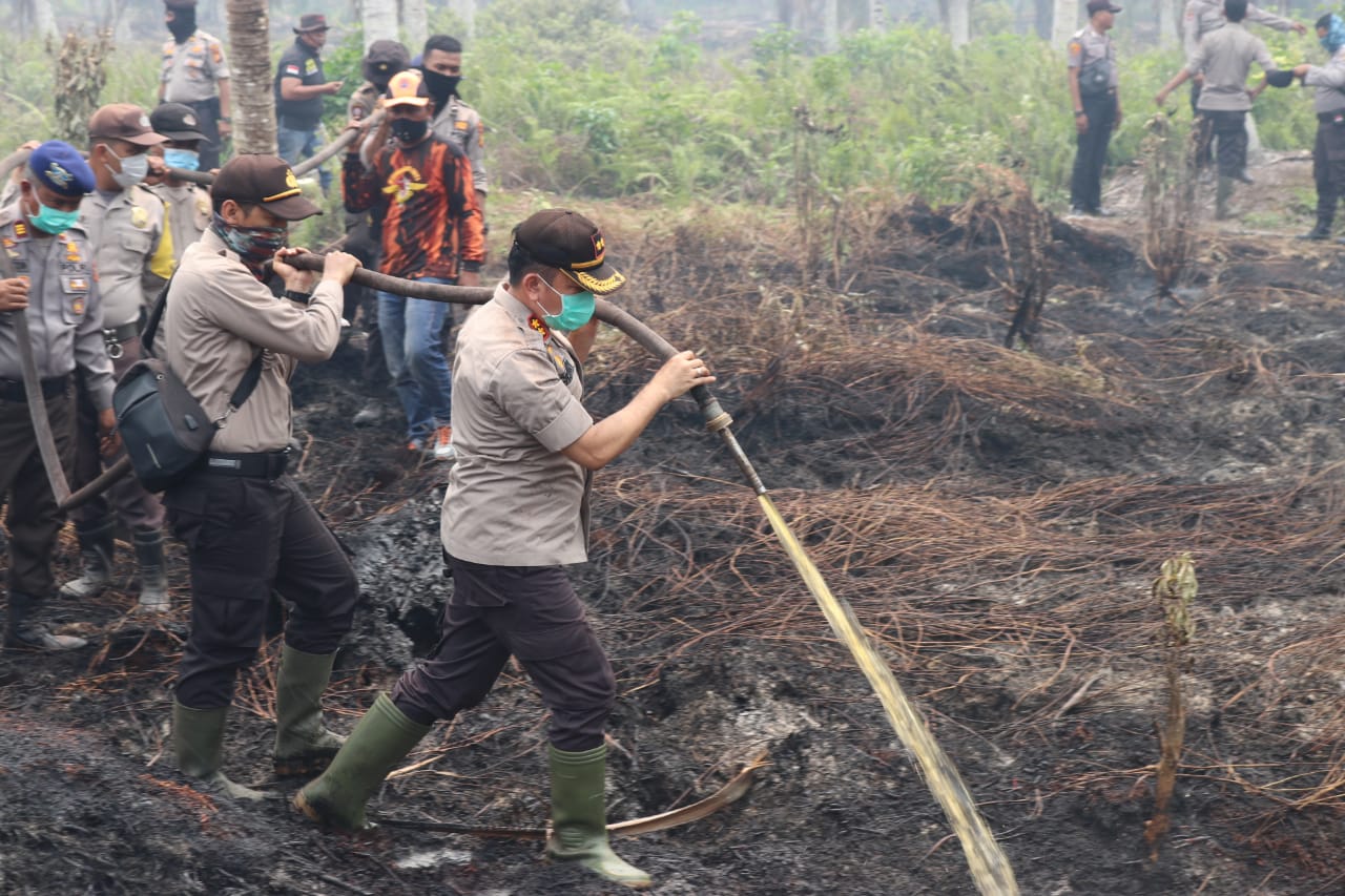 Satgas karhutla mempersilahkan siapa saja boleh menangkap pelaku pembakar hutan dan lahan. 