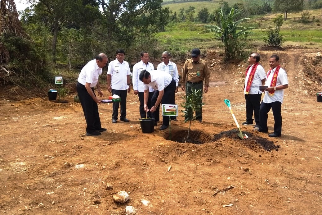 Menko Kemaritiman Luhut Pandjaitan dan Sesditjen Pengendalian DAS dan Hutan Lindung Yuliarto Joko  Putranto menanam pohon macadamia.
