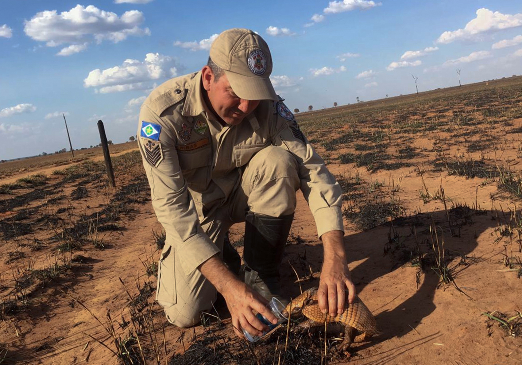 Seorang petugas pemadam kebakaran Mato Grosso memberi minum pada armadillo di kawasan yang terbakar di dekat Amazon, Brasil.