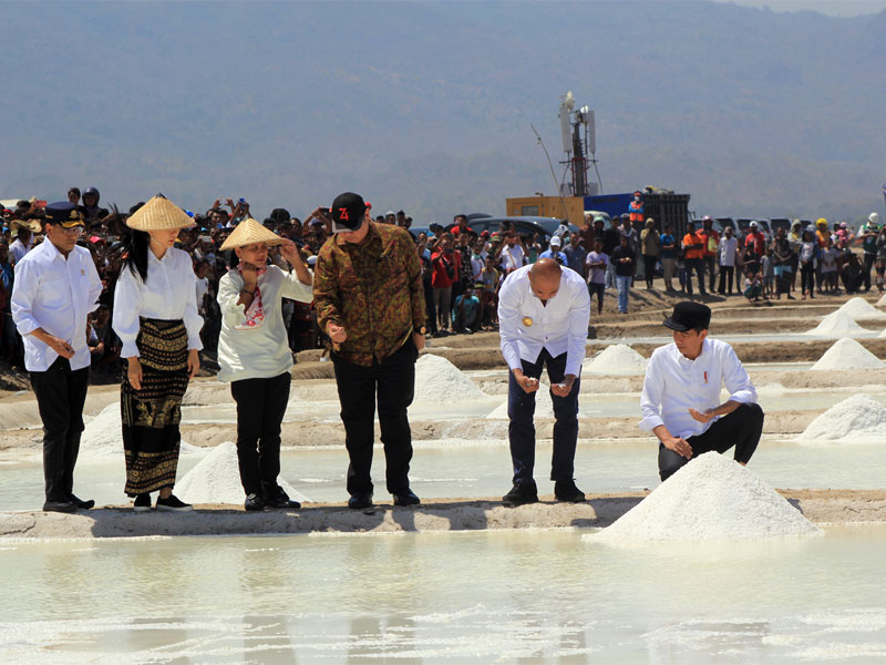 Presiden didampingi Ibu Negara Iriana Joko Widodo, Menteri Perindustrian Airlangga Hartarto, dan Gubernur NTT Viktor Laiskodat.