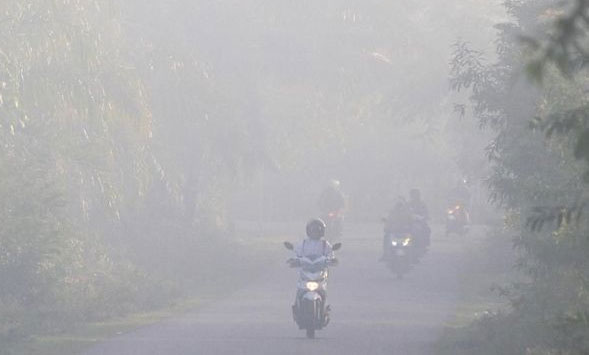 Kebakaran hutan dan lahan mulai mengganggu kesehatan warga