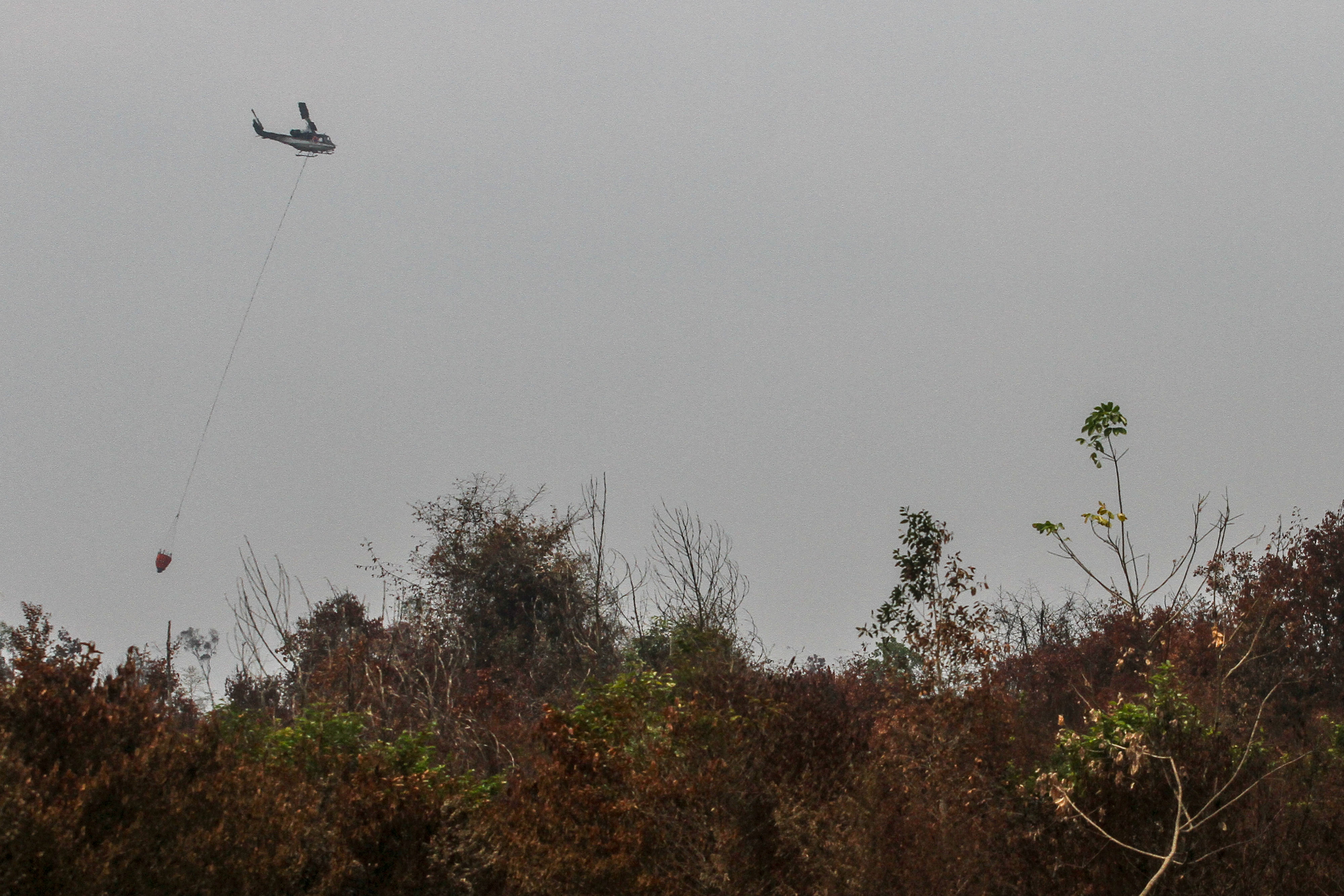 Satgas Karhutla Provinsi Riau terus melakukan upaya pemadaman karhutla baik dari darat maupun udara agar kebakaran lahan meluas