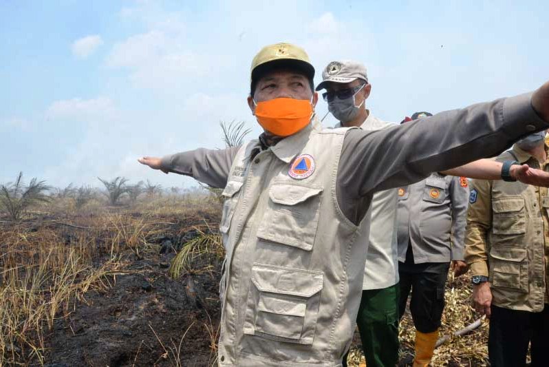 Gubernur Jambi H Fachrori Umar melihat kondisi lahan kebakaran lahan di perkebunan kelapa sawit di Kabupaten Tanjungjabung Timur, Jambi.