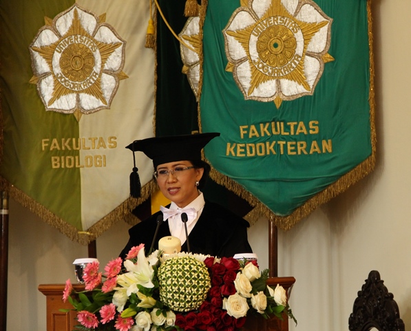 Ketua AIPKI PTN Ova Emilia.