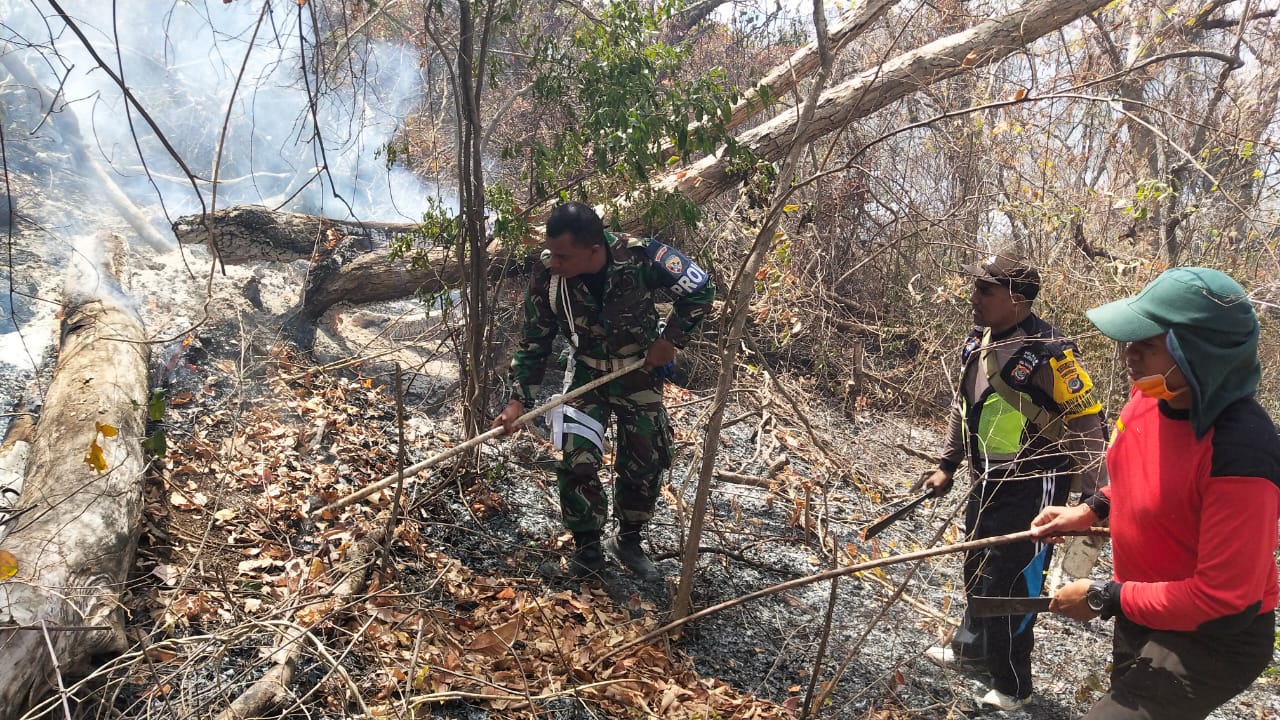 Kebakaran di Gunung Ile Mandiri, Flores Timur hingga kini belum bisa dipadamkan. 