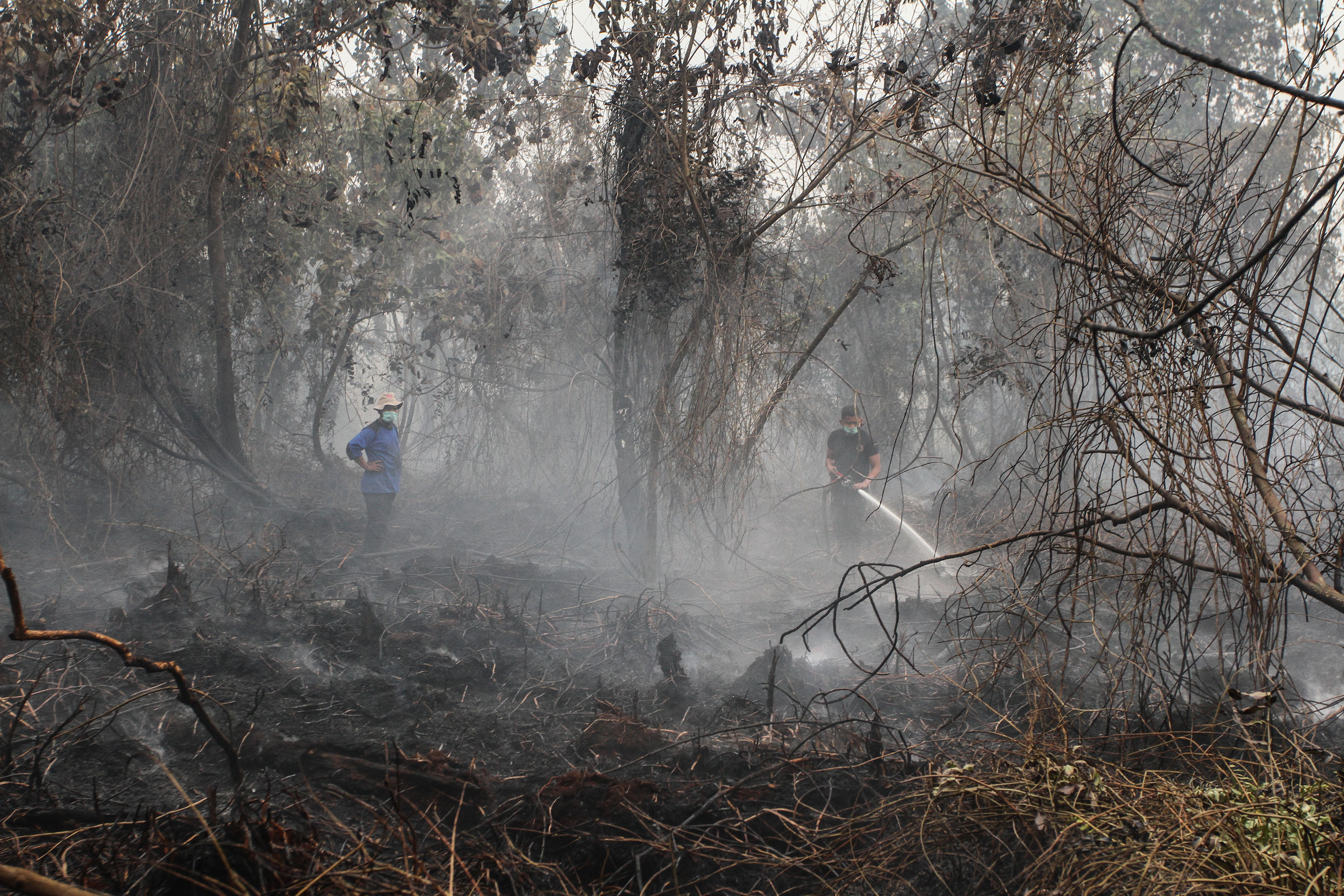 Jumlah tersangka pelaku kebakaran hutan dan lahan bertambah. 