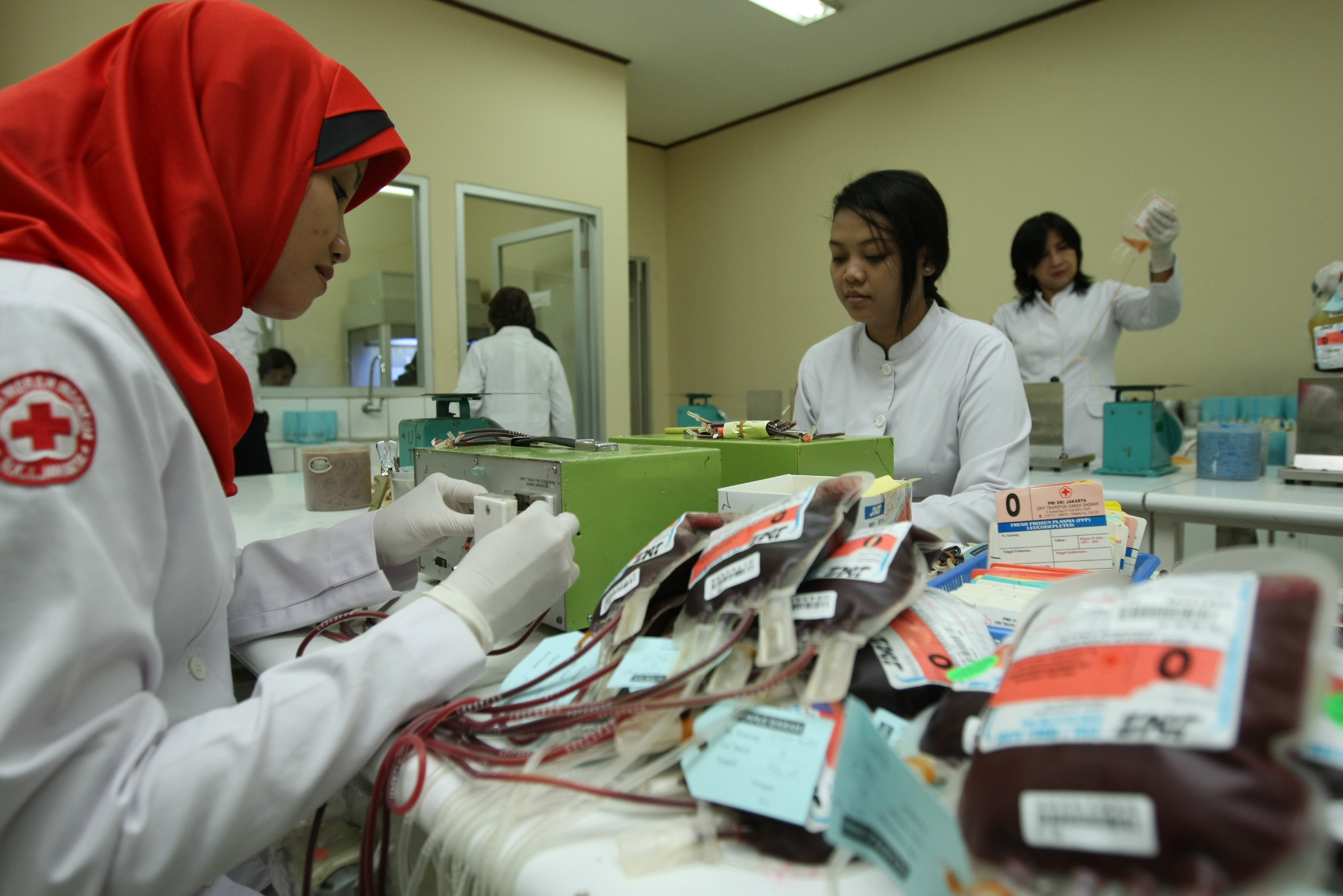 Sejumlah petugas Palang Merah Indonesia (PMI) mengatur kantung darah.