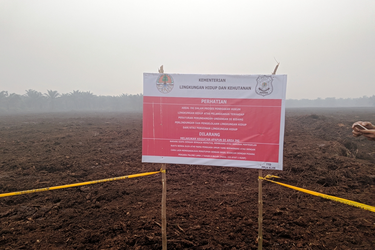 Ditjen Gakkum KLHK menyegel lokasi Karhutla seluas 4,25 ha konsesi perusahaan kelapa sawit asal Malaysia, PT Adei Plantation.
