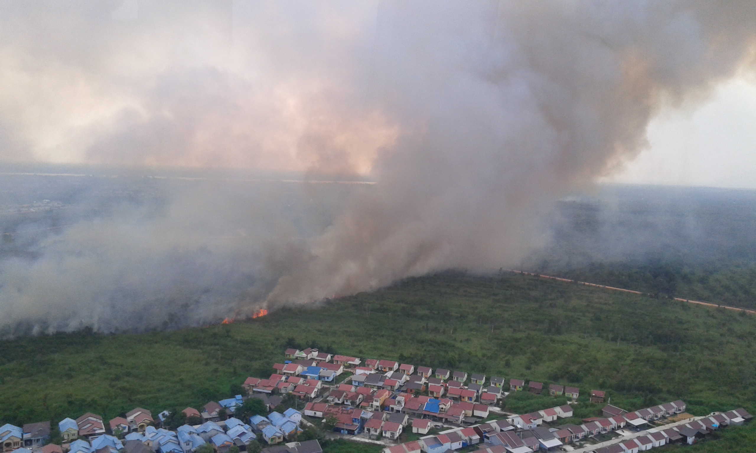 Kebakaran hutan dan lahan di Kalimantan Selatan belum juga padam. 