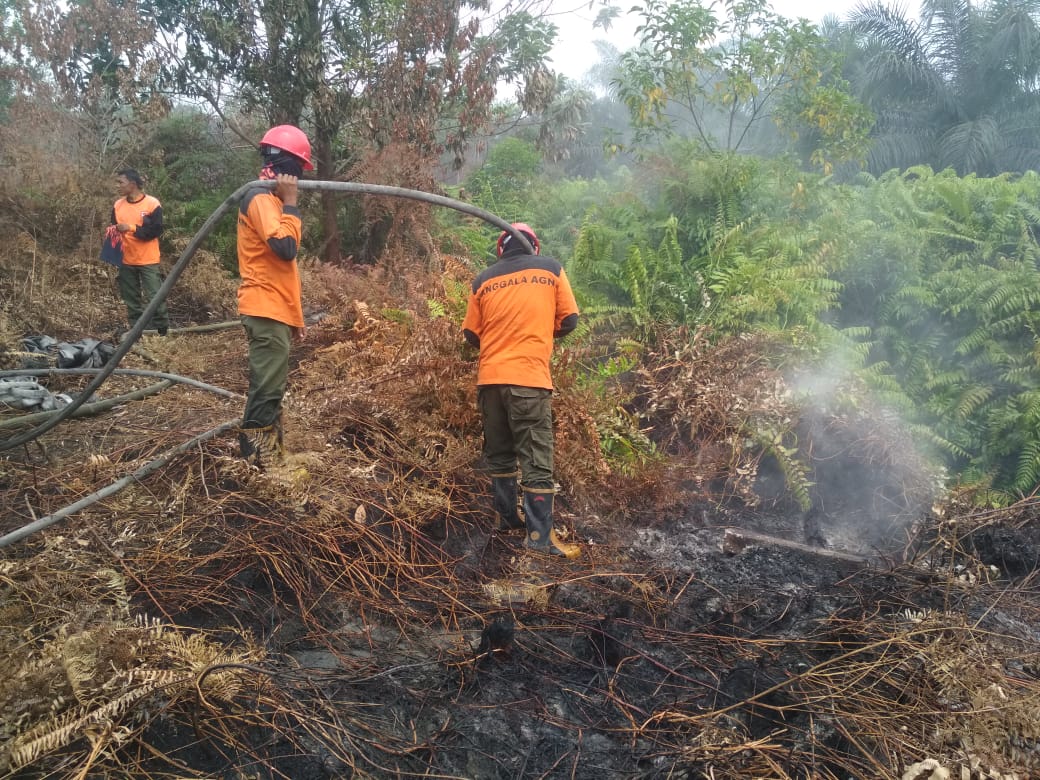 Personel Manggala Agni Daops Pekanbaru sedang memadamkan api kebakaran lahan di Kabupaten Kampar, Riau.