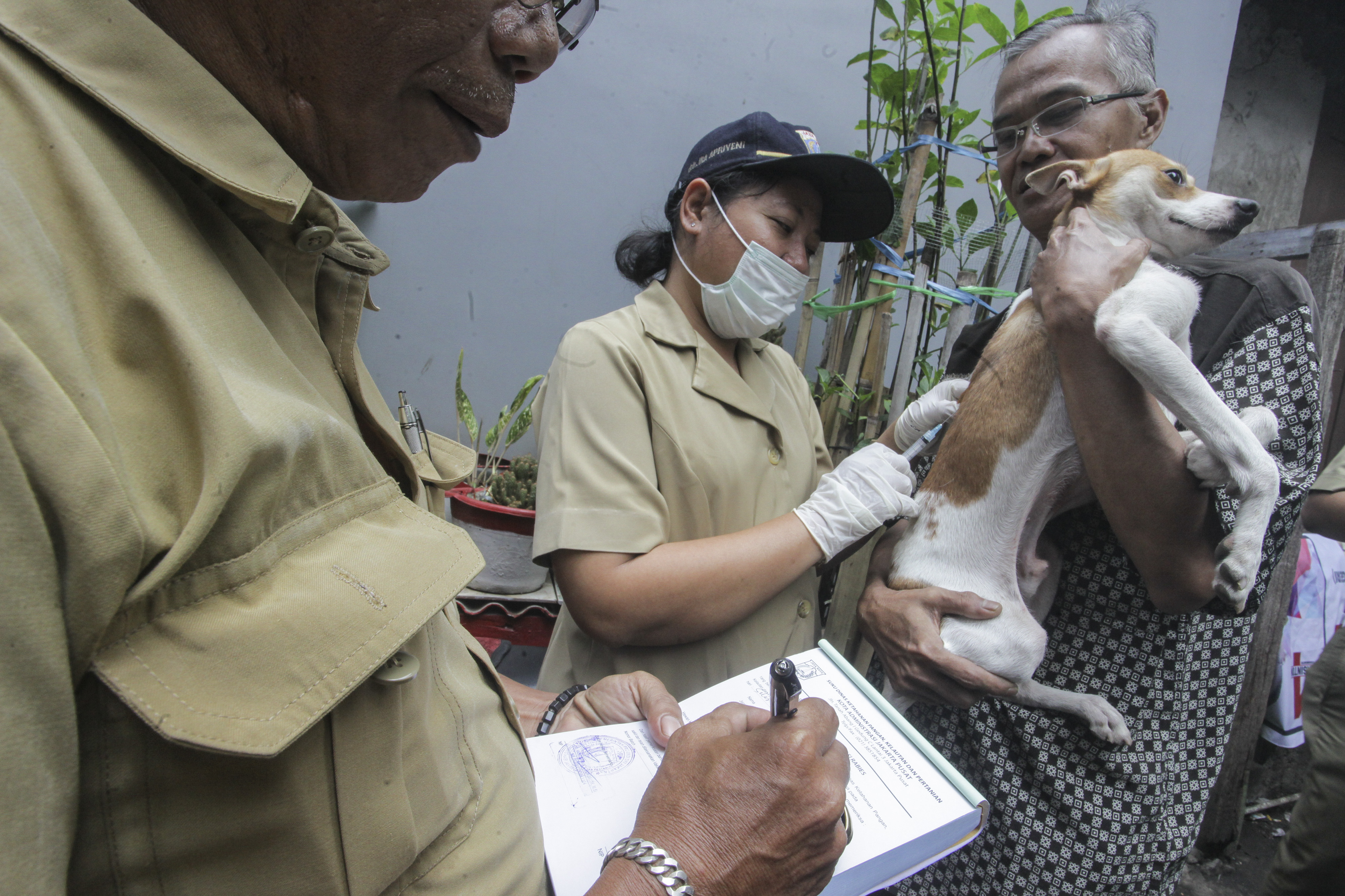 Petugas Dinas Ketahanan Pangan, Kelautan, dan Perikanan (KPKP) menyuntikan vaksin rabies ke anjing peliharaan milik warga