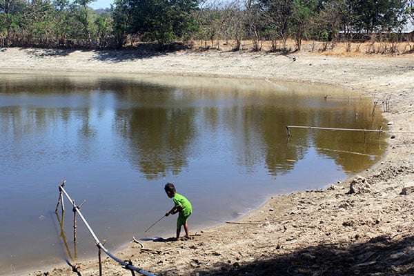 Kemarau panjang di Kupang, NTT