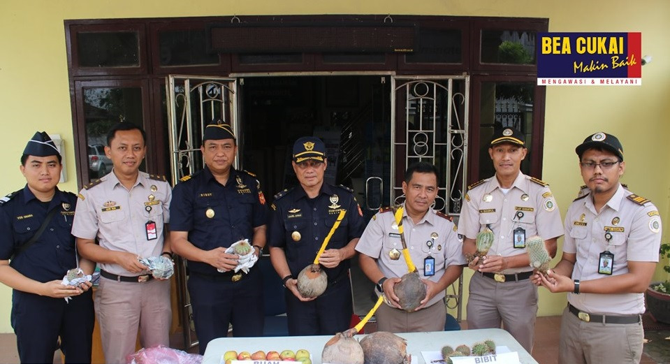 BC dan Karantina Bersama Gagalkan Penyelundupan Tanaman