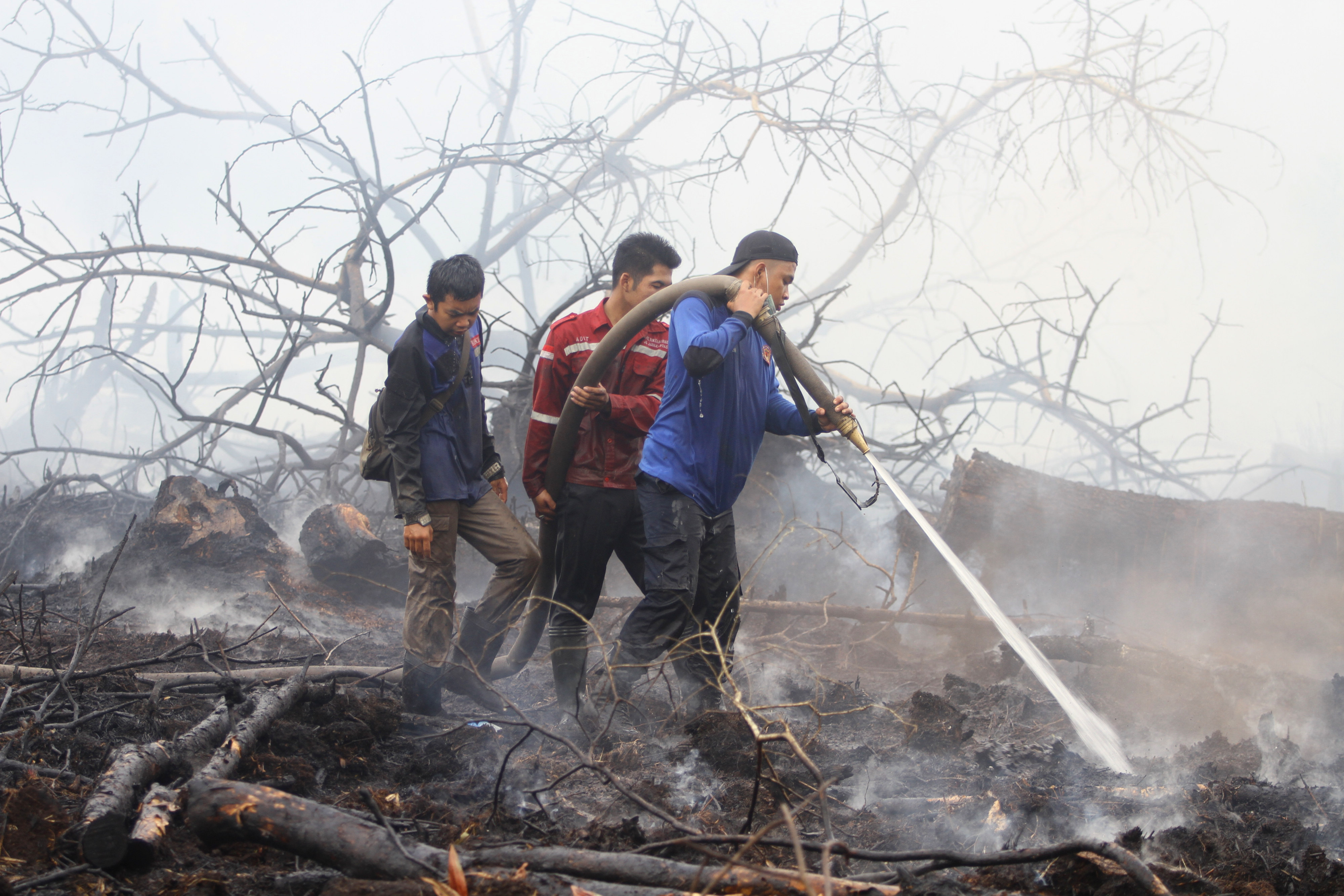 Relawan pemadam kebakaran berupaya memadamkan kebakaran hutan dan lahan (karhutla) di Desa Handil Usang, Kabupaten Kapuas, Kalimantan Tengah