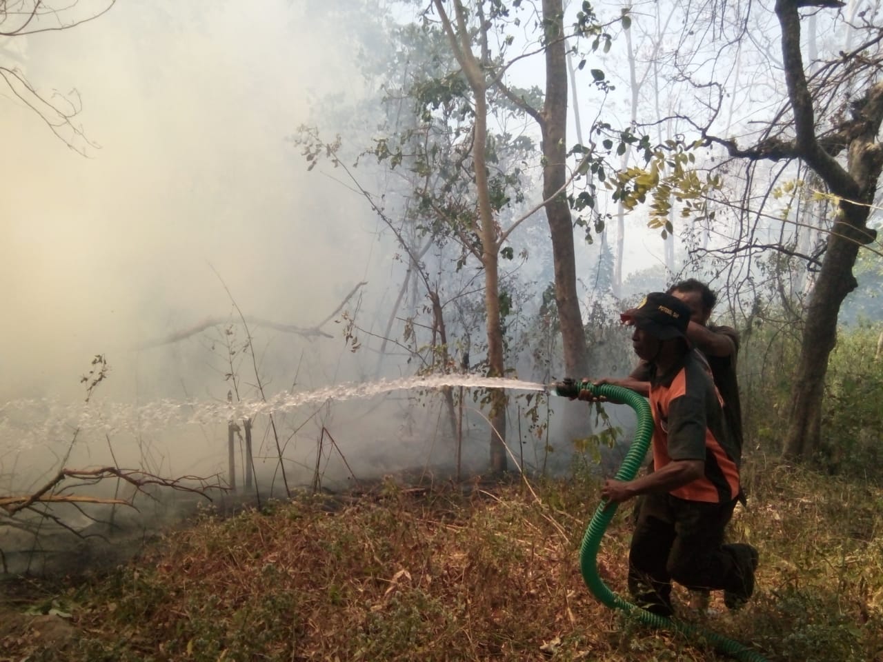 Karhutla di Hutan Lindung Egon Ili Medo di Sikka