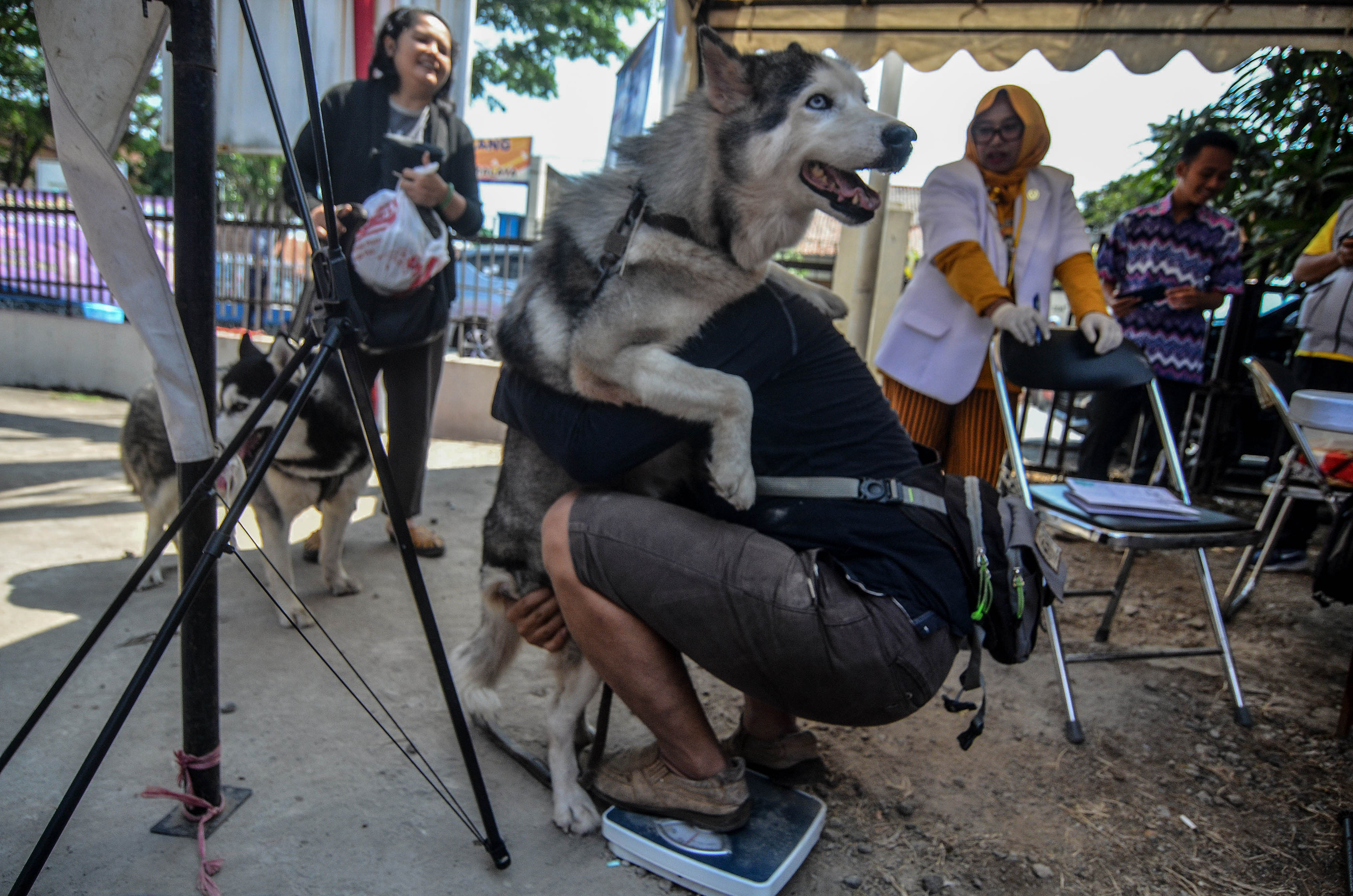 VAKSINASI RABIES GRATIS