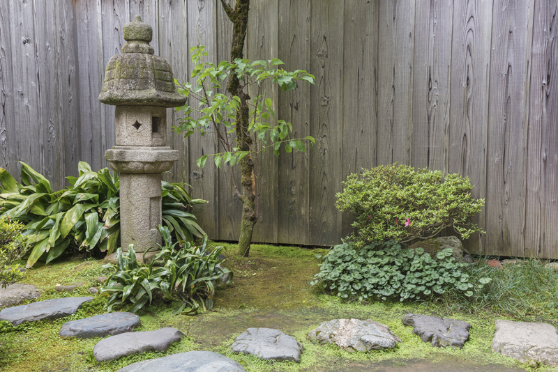 Ada sejumlah manfaat memiliki taman di belakang rumah.