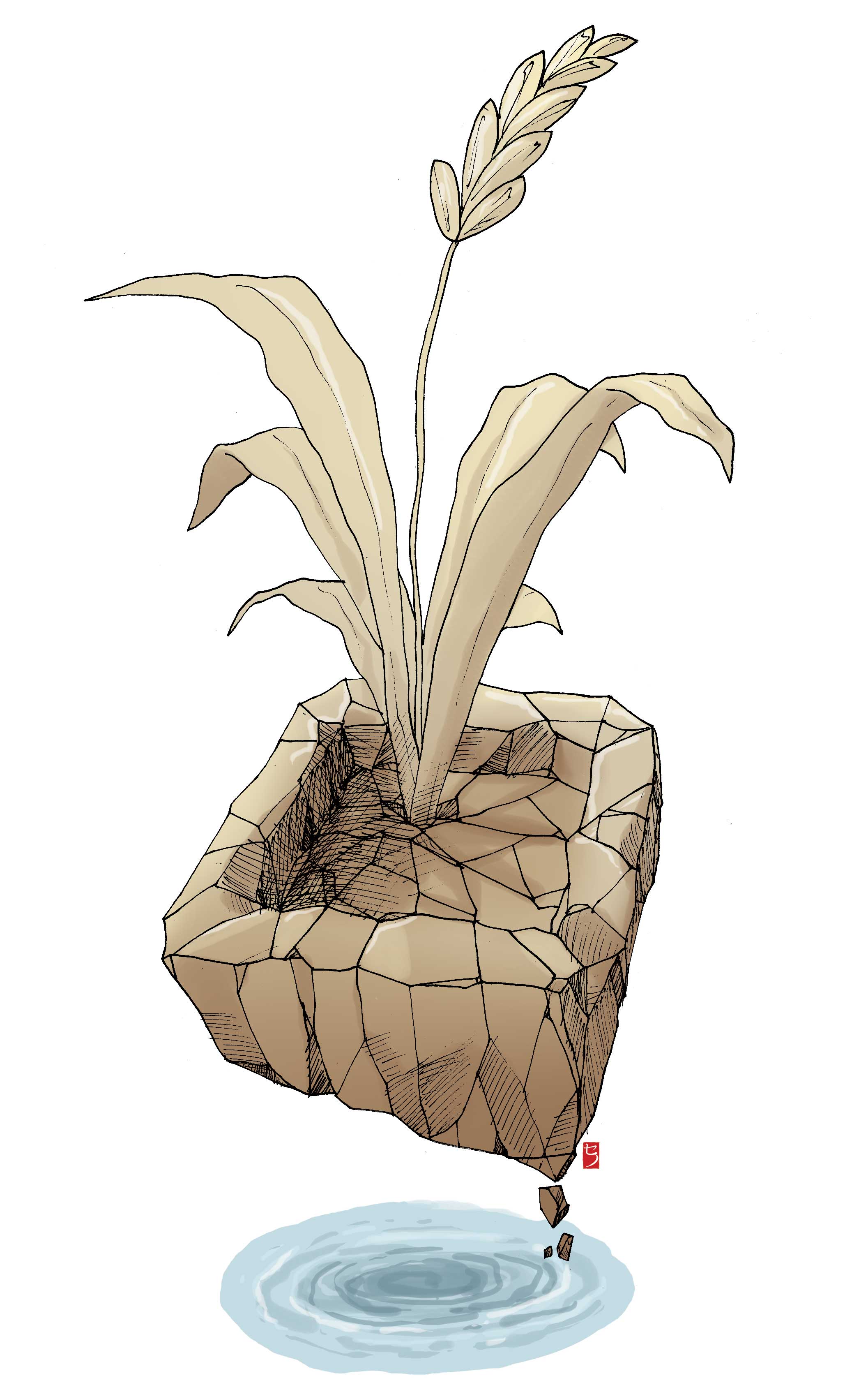 Mitigasi dan Adaptasi Kekeringan Ekstrem