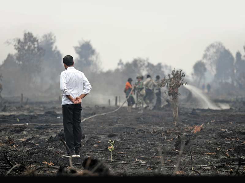 Presiden Joko Widodo melihat penanganan kebakaran lahan di Desa Merbau, Bunut, Pelalawan, Riau, kemarin.