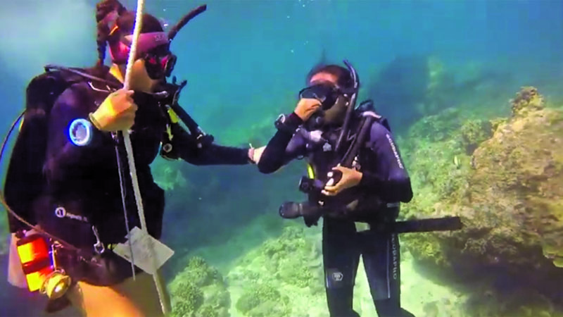 Menyelam juga menjaga lingkungan laut.