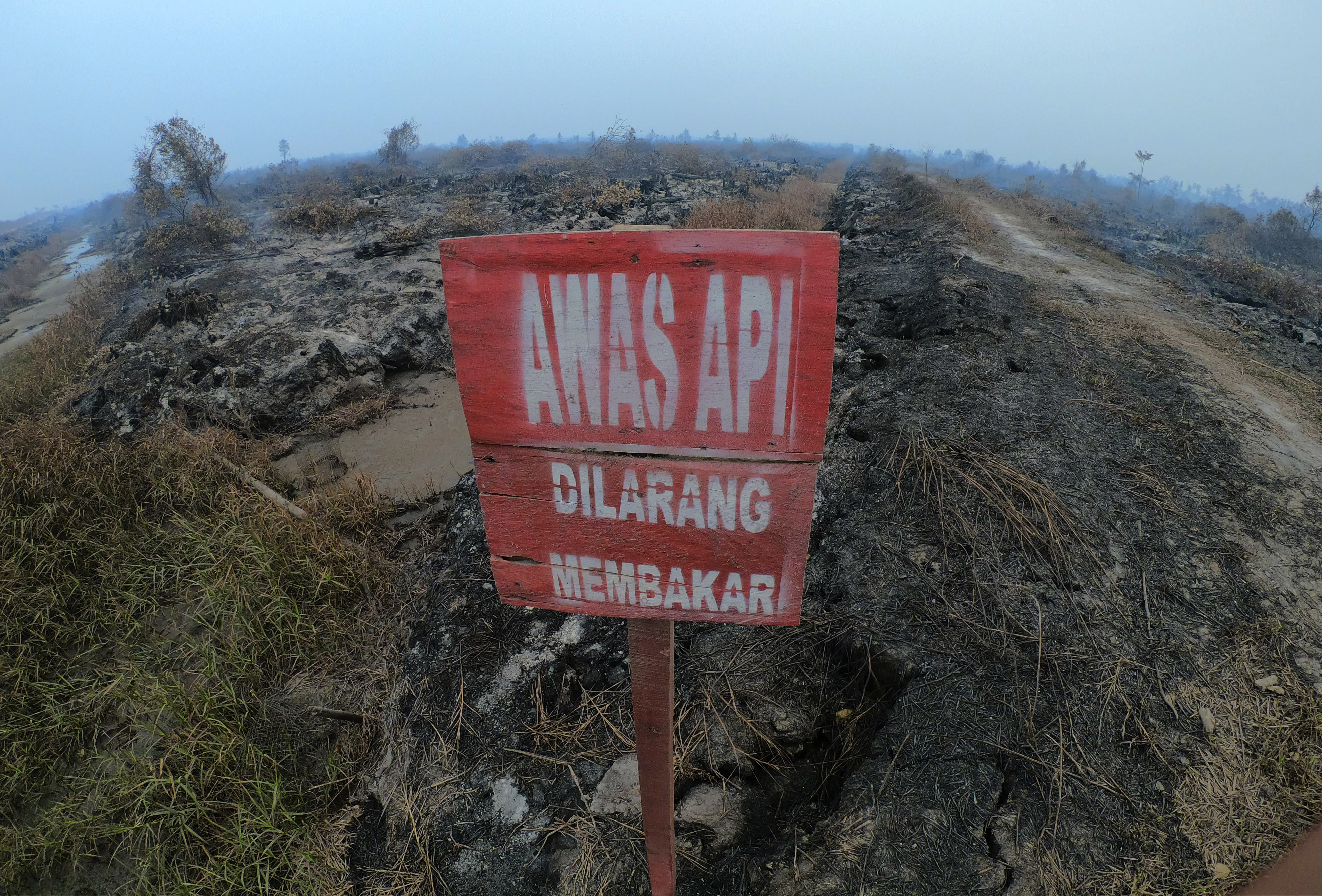 Plang larangan membakar berdiri di lokasi kebakaran lahan gambut milik salah satu perusahaan di Puding, Kumpeh Ilir, Muarojambi, Jambi, Rabu