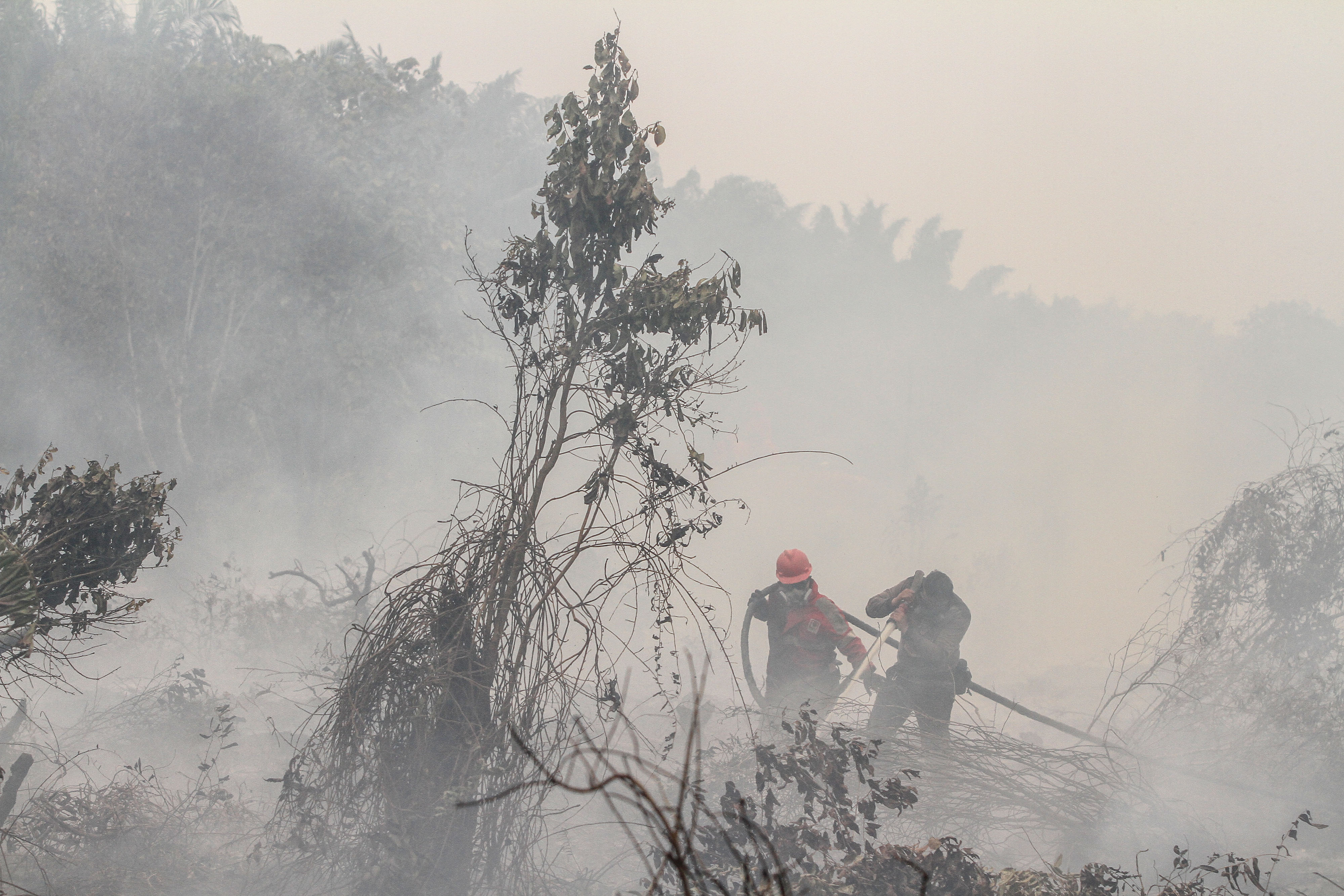 Antara/Rony Muharrman