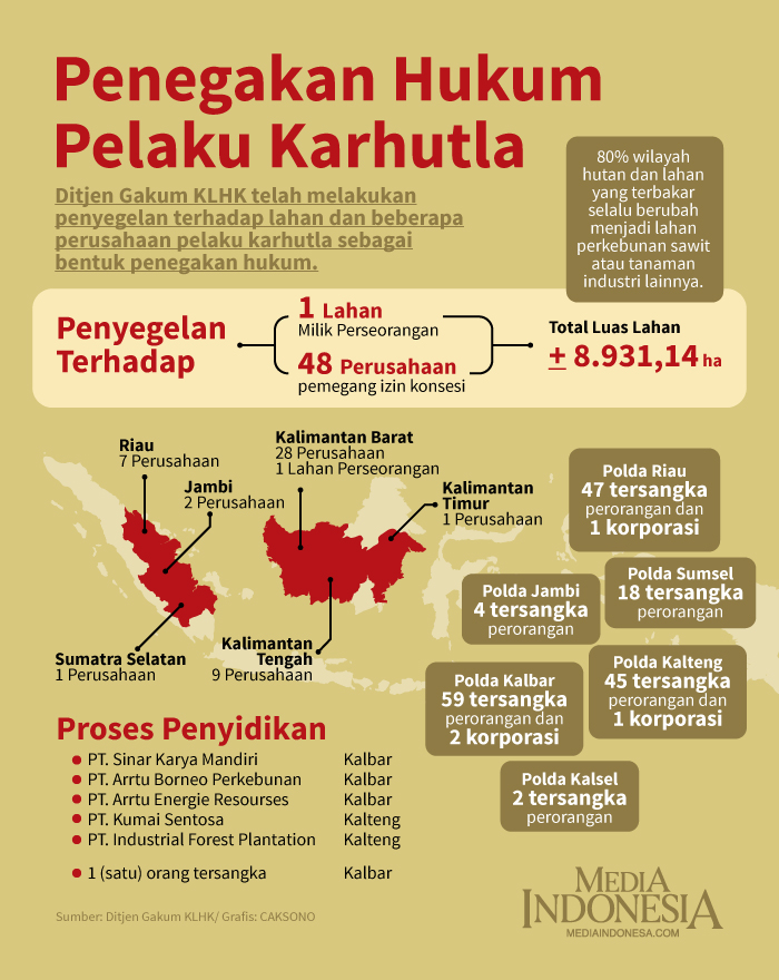 infografis